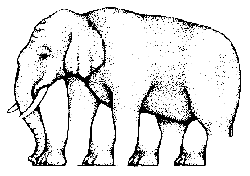 Tancující slon.